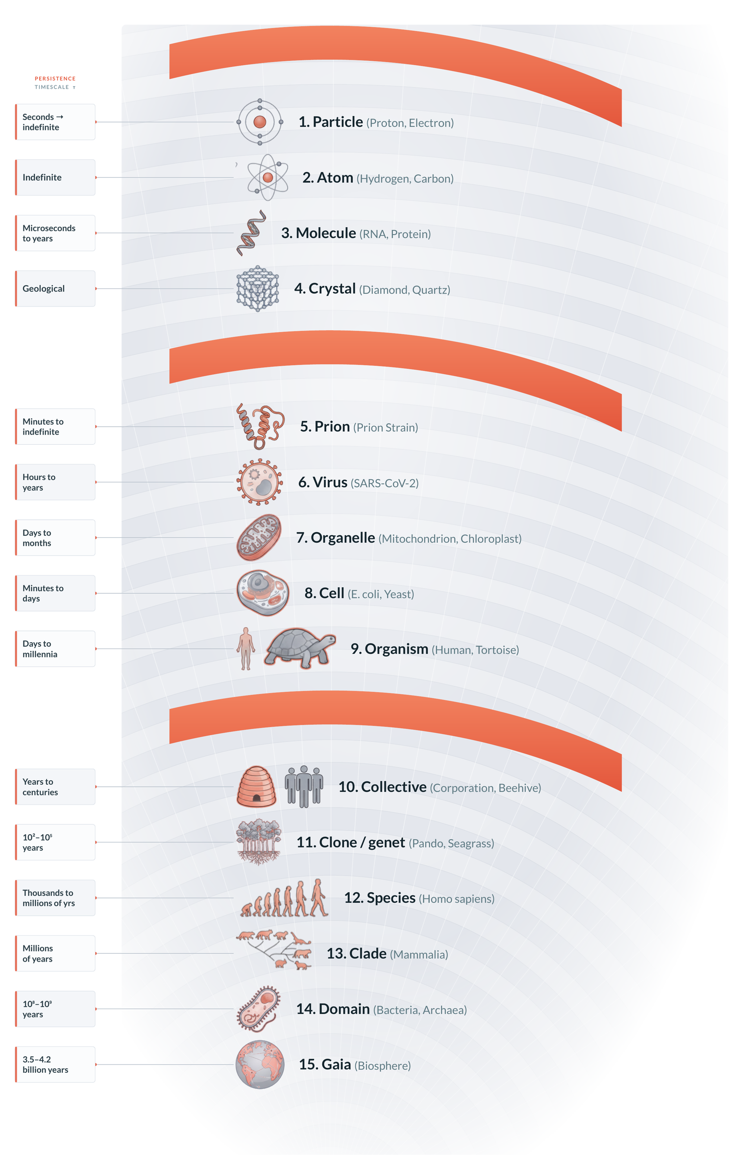 The levels of persistence: fifteen nested levels from particle, atom, molecule and crystal, through prion, virus, organelle, cell and organism, to collective, clone, species, clade, domain and Gaia, each labeled with its persistence timescale.